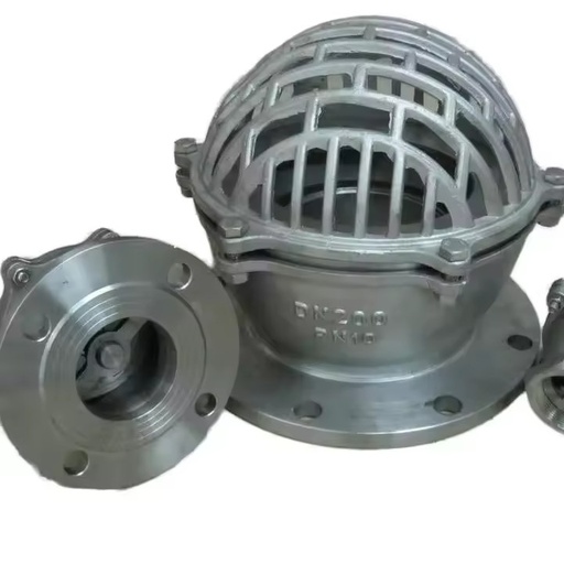Manual Cast Iron Foot Valve with Stainless Steel Strainer Flange Connection for Water Pumping Systems