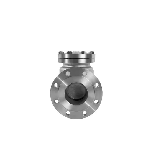 ANSI BS DIN JIS Stainless Steel Manual Swing Check Valve Flange for High Temperature Gas/Oil 1/2"-4" Brand 1 Year