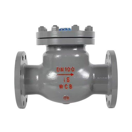 Swing Check Valve Stainless Steel Wenzhou High Resilient Sealing Manual Operated DN100 EPDM Flange Base ANSI/DIN/JIS Temperature