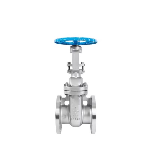 ASME 4inch150ibs 316 Stainless Steel Flange Connection Gate Valve Manual Operated for Gas Oil Water Brand 1 Year