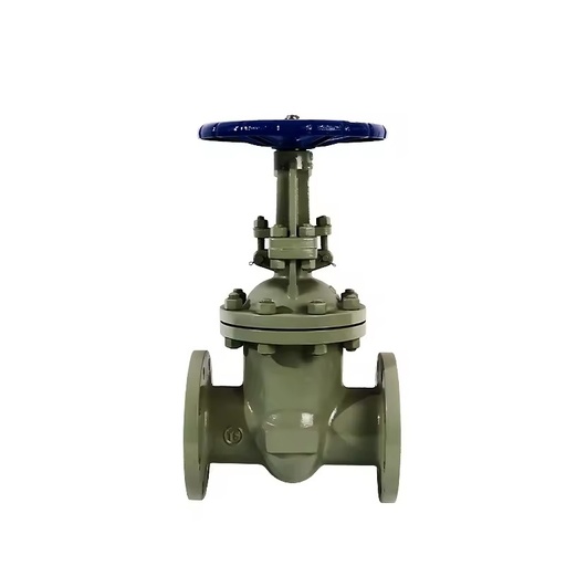 High-quality DN100 PN16 National Standard ASTM Carbon Steel Flange Manual Gate Valve WCB Body 1 Year Warranty for Water