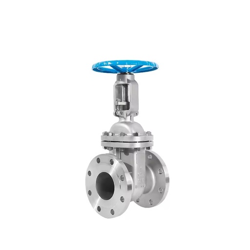 ASME 4 Inch 150 IBS 316 Stainless Steel Normal Temperature Flange Connection Gate Valve Manual Operated for Gas Oil Water