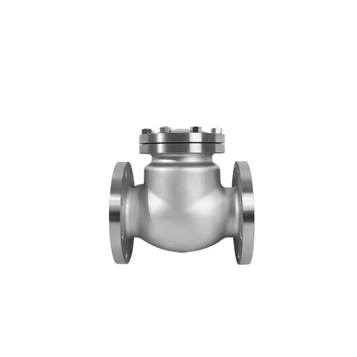 ASTM Standard 304 Stainless Steel Manual Swing Check Valve Flange for Oil High Temperature Applications 4 Inch/2 Inch Port Sizes