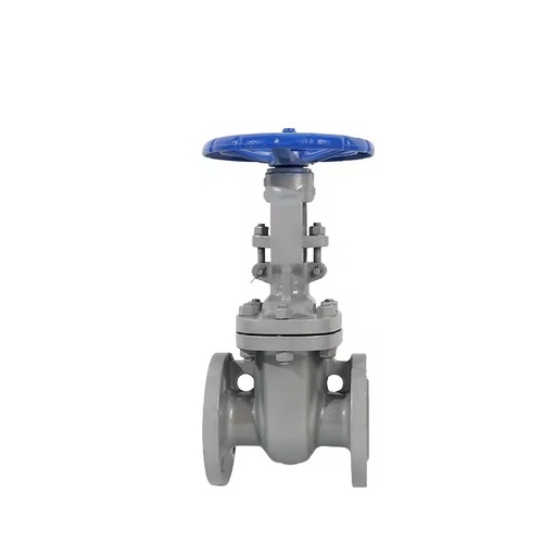 2inch CF8 Carbon Steel Flange Connection Gate Valve Model Z41WDN100CF8 Manual Power for Gas Oil & Water Stop Normal Temperature