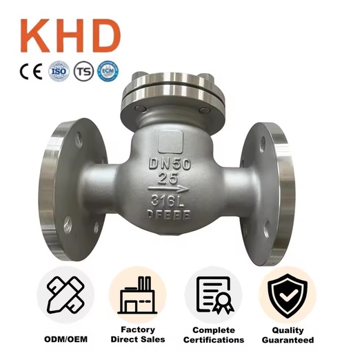 OEM Custom Auto Check Valve SS316L Stainless Steel Body Swing Type Dn25 50 65 80 100 Check Valve