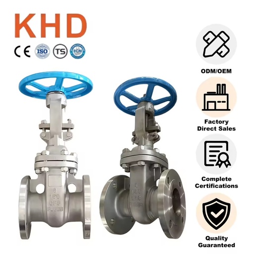 304 Stainless Steel Flanged Gate Valve 3 Inch (DN80) 150LB High Temperature Resistant Valve for Steam Ship Lines DN25/DN50/DN100
