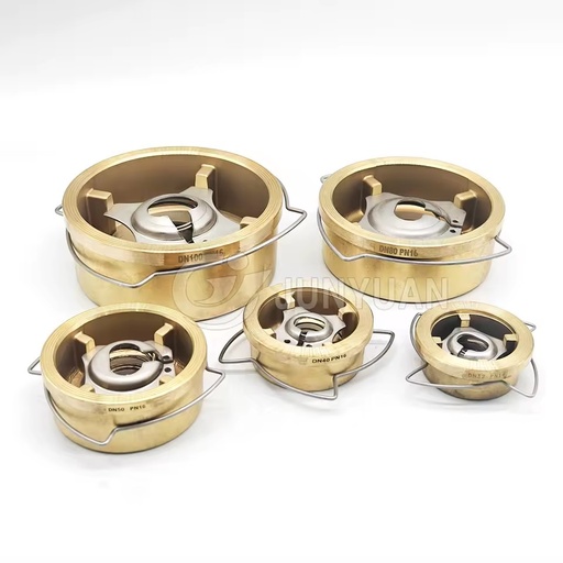 Brass DISC Check Valve DN15 100 PTFE/EPDM/FKM Seals Water Normal Medium Temp OEM/ODM Customizable Brass Wafer Spring Check Valve