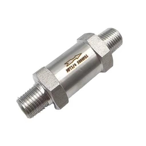 1/4 NPT Home Unidirectionnel Valve Stainless Steel Check Valve 304 Gaz En Acier Inoxydable Eau Huile Non-Retour 915 PSI Soupape