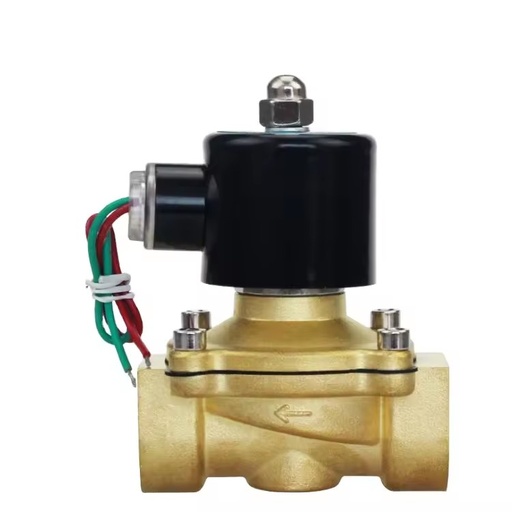 DN25 1 Inch 2W-250-25 Normally Closed Brass AC220V DC12V DC24V Direct-acting Electric Solenoid Valve Pneumatic Valve