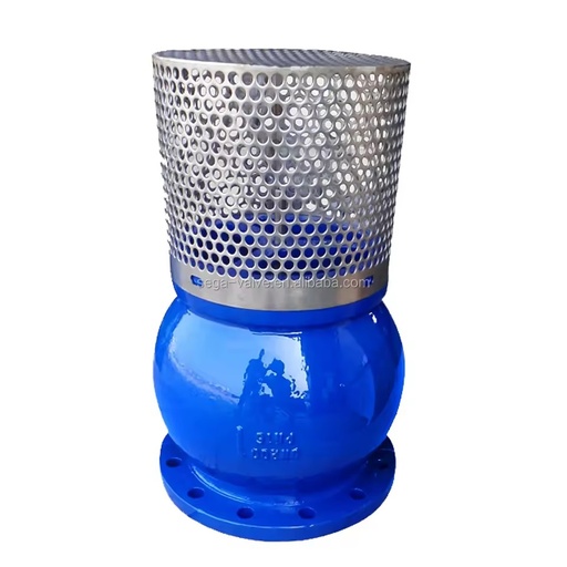 High-quality Foot Valve With SS304 Mesh Strainer Ductile Iron Bottom Valve for Water Pump