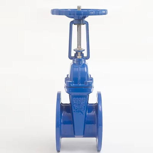 Factory Pn16 DN150 Flanged Ductile Iron Water Rising Stem Soft Seal Gate Valve