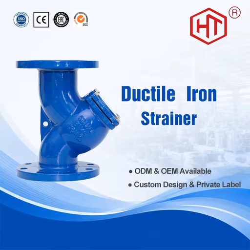 OEM/ODM Customized High Precision Industrial Flanged Y Type Strainer Filter