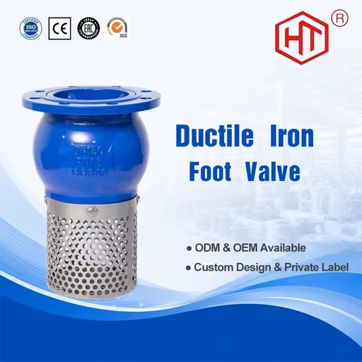 Ductile Iron Hydraulic Base Check Structure Round Type Stainless Steel Sealing Water Blue Color Foot Valve Flange Foot Valve