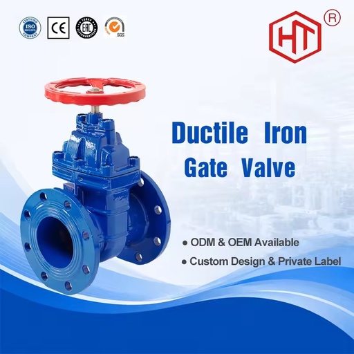 Factory Direct DN40-DN200 Cast Iron Non-rising Stem Flange Hard Seal Gate Valve