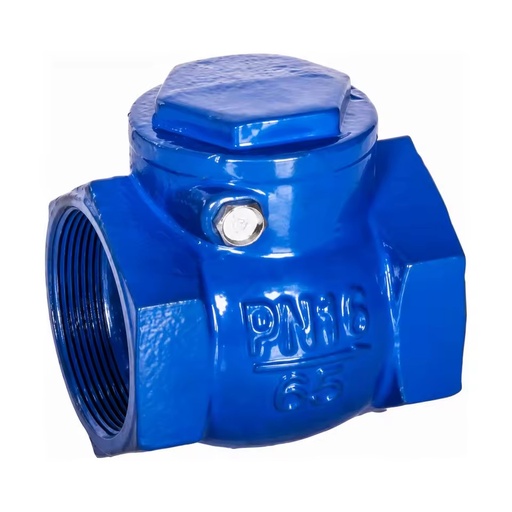 Ductile Cast Iron Check Valve PN16 3/4 in - 4 in H11X-16Q