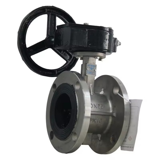 RDNT Manual Stainless Steel 304 Flanged Vertical Plate Butterfly Valve for Water Flow Control
