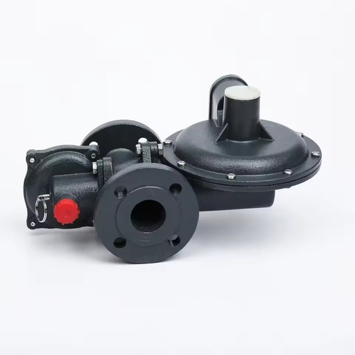 RTZ-25 (L) / 0.4FQ Type Gas Pressure Regulator for LPG Helium Propane Argon & Natural Gas Metal Construction 1 Year Warranty