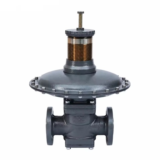 RTZ-L Series Metal Gas Pressure Regulator for LPG/Propane