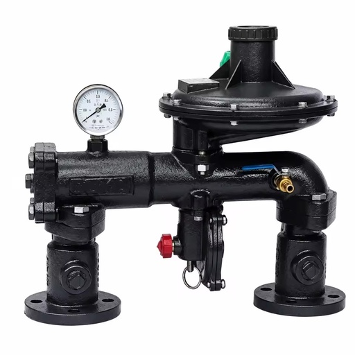 RX80/0.4A-40QB Series Industrial Metal Gas Pressure Regulator Cabinet for LPG Propane Natural Gas Oxygen 1 Year Warranty