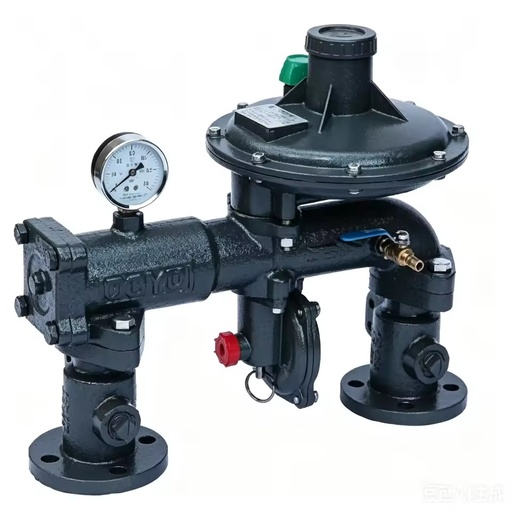 RX100/0.4A-50QB Series Metal Gas Pressure Regulator Cabinet LPG Natural Gas Helium Propane Argon Nitrogen CO2 28-120Nm3/h Flow