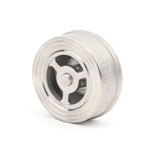 SS304 316 Stainless Steel H71w Dn65 Pn16 Pn25 3/8 Non Return One Way Disc Wafer Single Plate Spring Check Valve