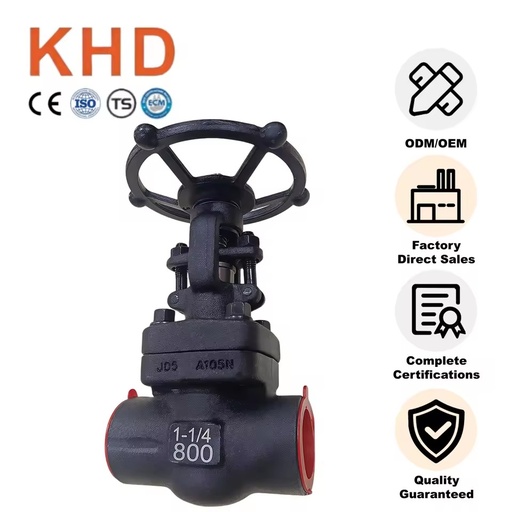 KHD API Forged Steel Gate Valve Class 800 Socket Weld (SW) 1-1/4 Inch High Quality OEM Custom Weld Globe Valve