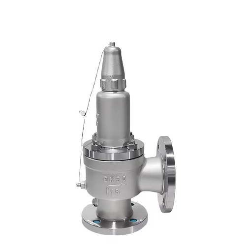 DN50 Flange Safety Valve Stainless Steel 304 Spring Loaded Safety Relief Valve