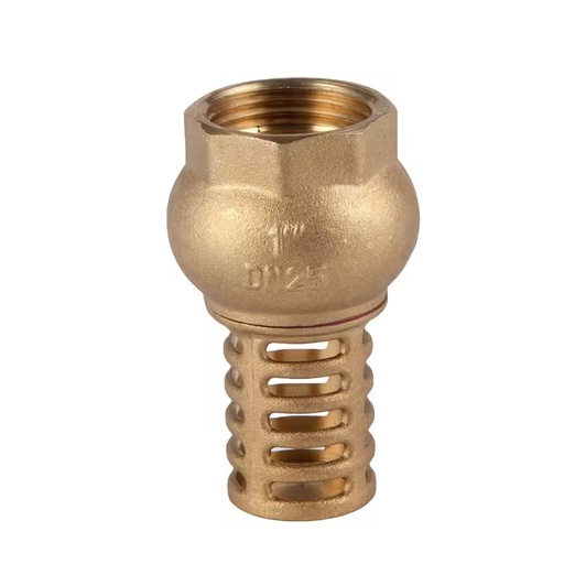 OEM Durable 1-inch Industrial Brass Filter Vertical Brass Pump Foot Check Valve