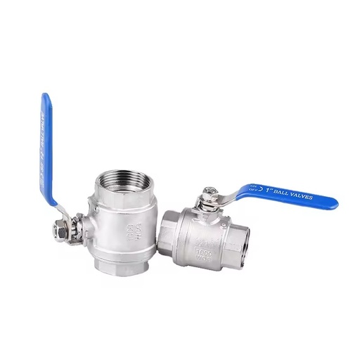 Chinese Factory Premium Manual Water OEM Two Piece Stainless Steel Ball Valve PTFE Sealing Male Connection Segv 1 Year Warranty