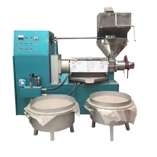 Small Peanut Coconut mango Moringa Shisha Inch Seed Olive Soybean Hot and Cold Screw Oil Press Machine