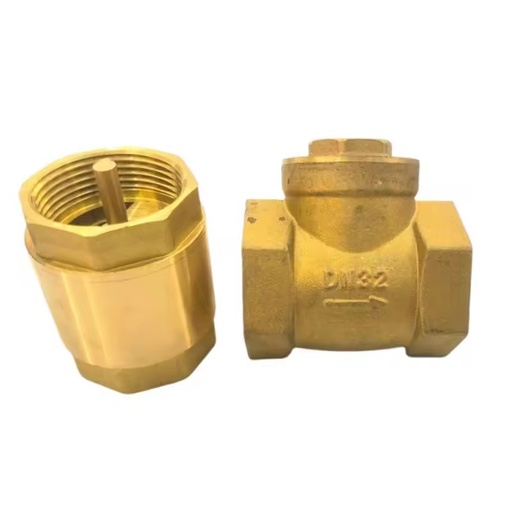 One-Way Vertical Non-Return Check Valve Brass/Stainless Steel 201/304/316 Hydraulic ISO9001 Certified 1.6Mpa Pressure for Water