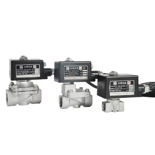 Explosion-proof Solenoid Valve CT4 Natural Gas diesel Control Switch off Valve 220V 24V Normally Closed