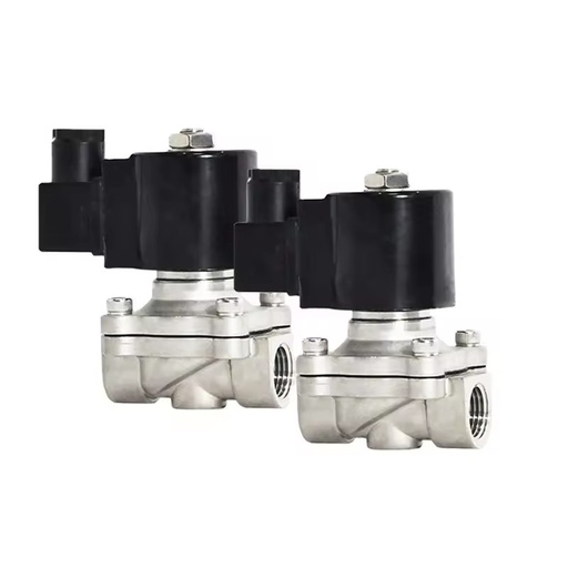 AC24 DC24V AC220V Stainless Steel Waterproof Music Fountain IP68 Under Water Normally Closed Solenoid Valve