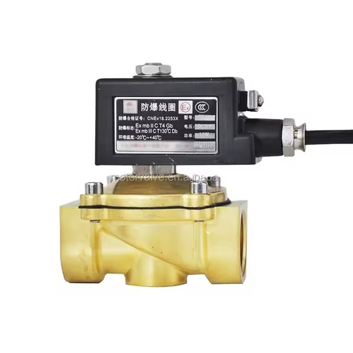 Flammable Gas H2 Dust Oxygen LPG Explosion-proof Solenoid Valve 220V 12V 24V Normally Closed Hydraulic CT4 Brass Valve