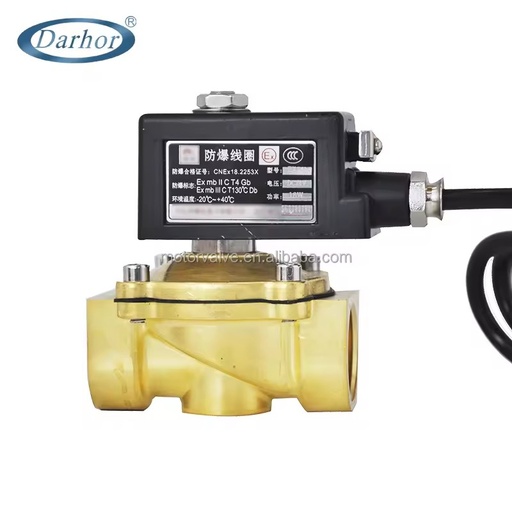 Normally Closed Brass Explosion-proof Solenoid Valve Natural Gas, Gas, Liquefied Gas, Dust 220V24V