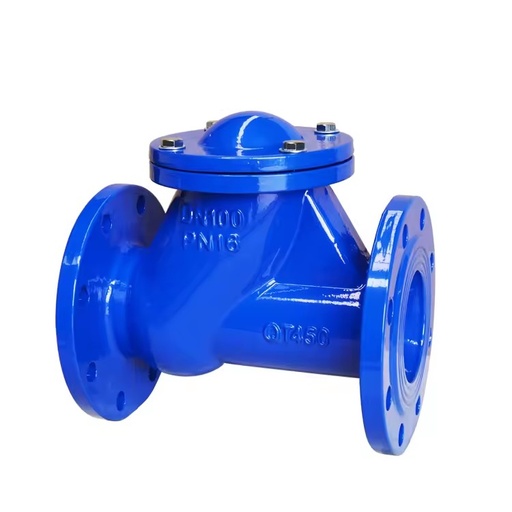 Best-selling High Quality 2 Inch 8 Inch Ductile Iron Ball Type Check Valve