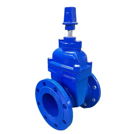 Industrial-Grade Durable ODM/OEM/OBM Ductile Iron Ductile Iron Non-rising square Cap Elastic Seated Gate Valve for Water