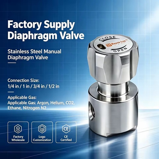 SS316L SS Manual Diaphragm Valve High Purity UHP Gas Control for Semiconductor Laboratory Specialty Gas Gas Pressure Regulator