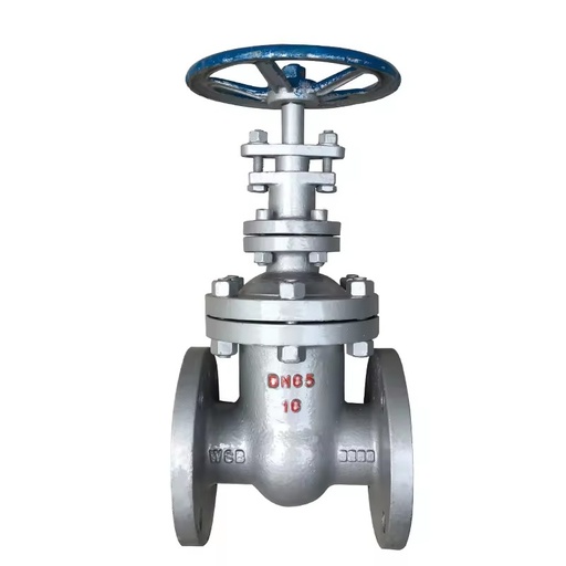 DN50/150/300/450 Factory Custom Forged Steel A105 Stainless Steel 304/316 CF8 WCB Cast Steel Gate Valve