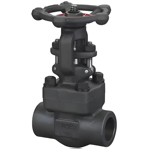 A105N Forged Steel Sleeve Welding Socket Thread NpT High-pressure J61H Globe Valve Can Be Customized