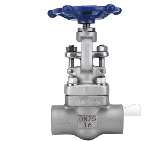 High Quality High-temperature Oil and Gas Shut-off Valve, Made of Forged Steel Material, Welded with Sleeve, Threaded Joint NPT
