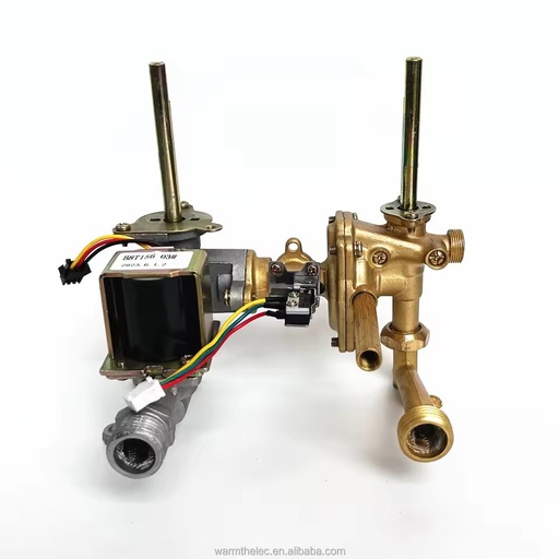 Integrated Valve Block for Hot Water and Liquefied Petroleum Gas