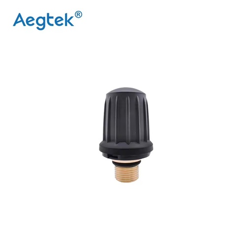 Factory Direct High-Security Valve Long Version Compatible Karchers SG4 SG2 Steam Battery/Manual/Electric Household