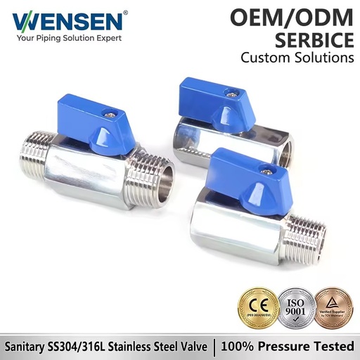 Wensen 304 316 Sanitary Grade Stainless Steel Mini Ball Valve with Zinc Alloy Handle