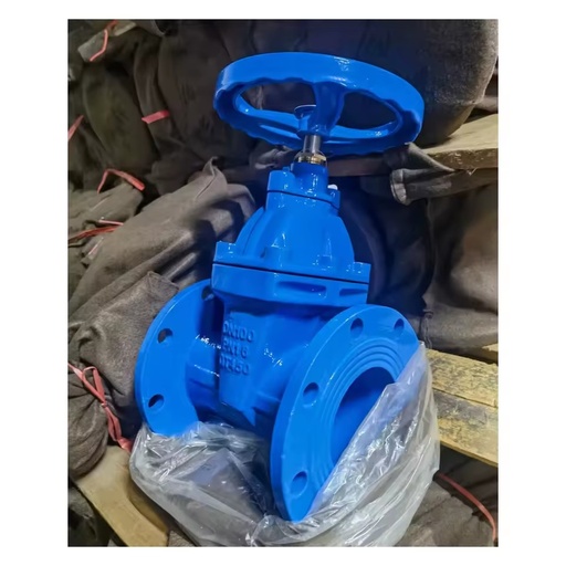 DIN BS ANSI Standard PN25 PN40 80mm 100mm Manual Cast Iron Resilient for Water Wedge Gate Valve