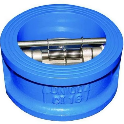Cast Ductile Iron Soft EPDM Seat JIS 10K DIN ANSI BS DN100 DN300 DN600 Dual Double Disc Swing Check Valve
