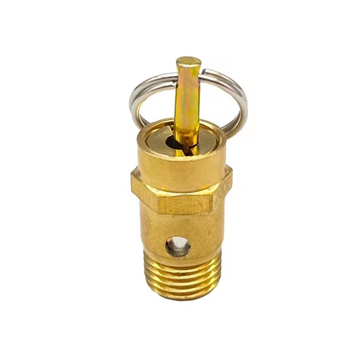 NBPT Manufacturer Direct Sales Adjustable Pressure Relief Ball Brass Safety Valve with Multiple Specifications to Choose