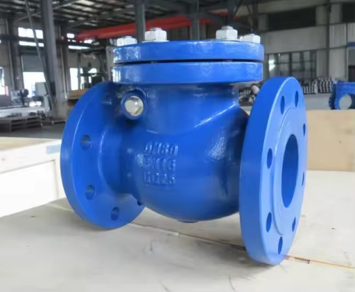 DN BS5153 Standard Ductile Iron EPDM Rubber Flap Soft Seal Flange Non Return Swing Check Valve
