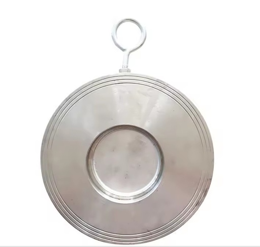 Manufactory Cheap One Way Single Disc Check Valve With FKM Seal 2 Inch for Many Usage DIN/BS/ASME Standard