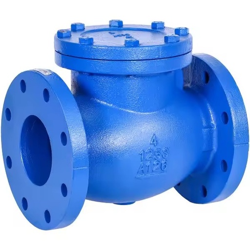 Non Return Swing Type Check Valve Flanged Connection Manual DN50-DN1200 Base Manufacturer Tianjin
